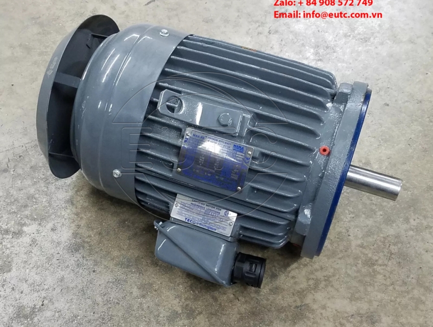 Động cơ điện TECO-Westinghouse