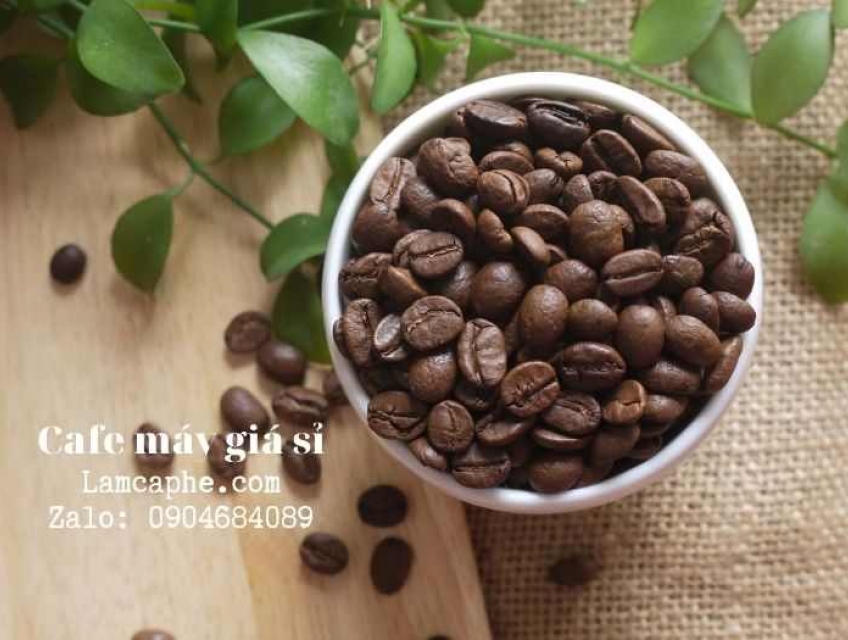 Cà phê máy tại Bình Dương giá sỉ - hạt loại 1