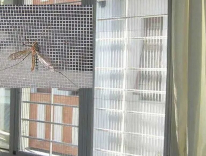 Thi công cửa lưới chống muỗi giá rẻ tại Bình Dương