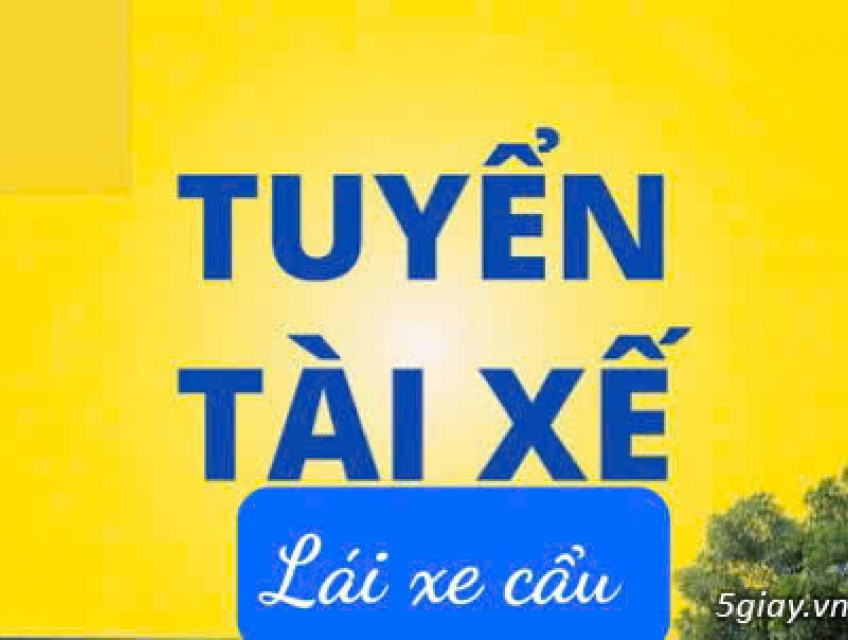 Tuyển 5 kỹ thuật làm tại công trình xây dựng & 5 tài xế xe cẩu