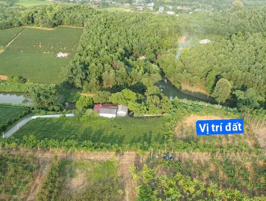 BÁN ĐẤT NGHỈ DƯỠNG THANH SƠN - PHÚ THỌ