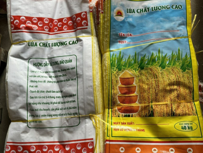 Bao lúa giống 40KG – Lúa cấy làm sạch 40KG – Lúa cấp xác nhận 40KG