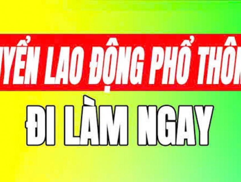 Tuyển LĐPT đóng gói hàng, xếp hộp giấy, bồi lịch làm Long An