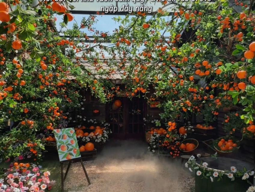 Mâm Coffee tuyển NV pha chế, thu ngân, phục vụ làm tại Q12