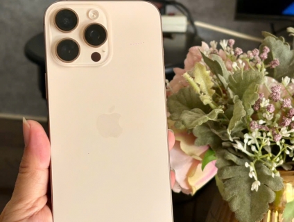 16 Pro max 256G Gold VN/A Pin 97%... Zin !