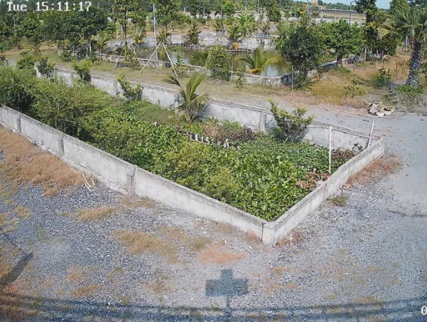 Bán Nhà Vườn 12.000m2, Giá 31 Tỷ, Kênh 12, Xã Lê Minh Xuân Bình Chánh