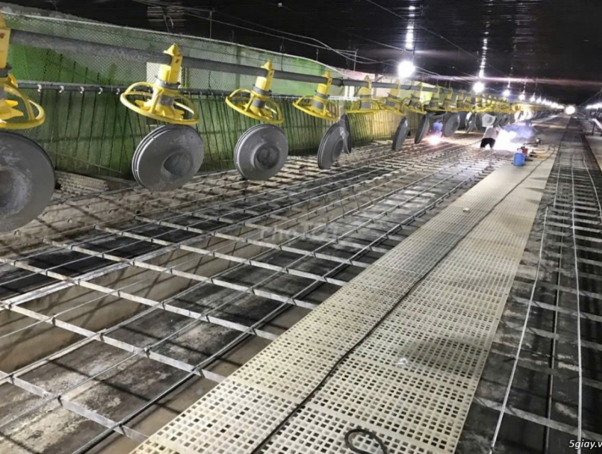 Trang trại tuyển cặp vợ chồng hoặc nam LĐPT phụ việc chăn nuôi vịt