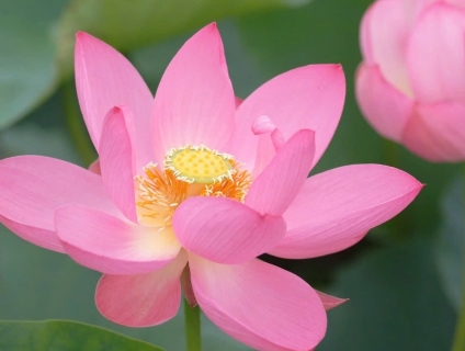 Sim Vina: 0838382858