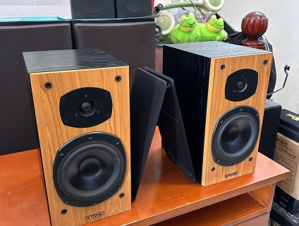 Loa Tannoy M2, 100w, Độ nhạy cao
