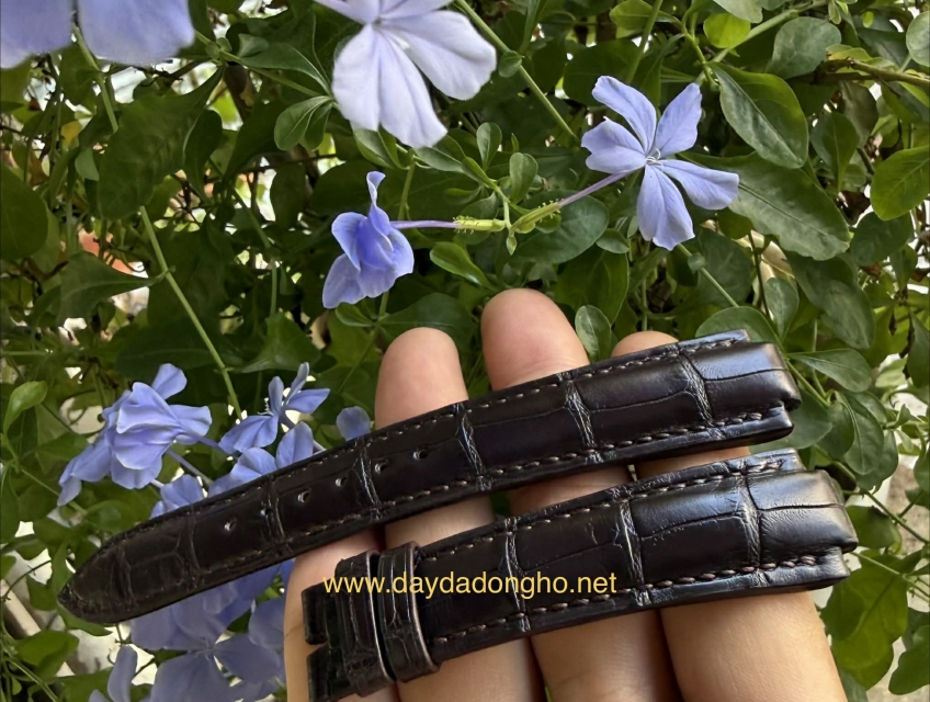 Vì sao dây da đồng hồ cá sấu thật không thể rẻ?