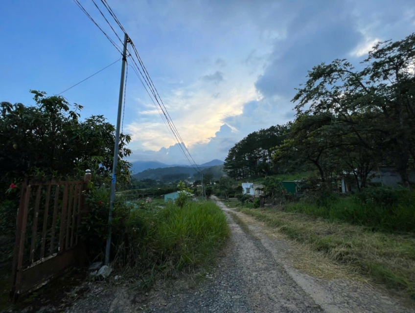 ► Cho thuê nhà gỗ sân vườn nghỉ dưỡng tại Đà Lạt – Gần khu du lịch