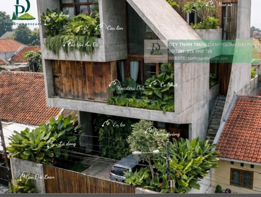 Cung cấp cây xanh & thi công cảnh quan ban công – sân vườn – biệt thự