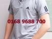 Sỉ & lẻ áo thun Adidas, Burberry, Polo, Nike cổ trụ, Lamborghini, tonny, cá sấu tquốc