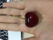 Bán CHERRY ÚC. Món quà cho các tín đồ nghiện cherry đây.