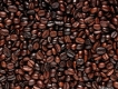 Cung cấp cà phê hạt nguyên chất giá rẻ nhất tp hcm