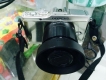 Bán Mirroless Pen E-P3 + lens sigma 19mm F2.8 chụp đẹp giá rẻ