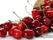 Cherry Úc, hàng mua từ farm bên úc, ngon ngọt, xách tay trực tiếp