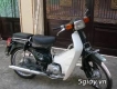 Ban xe custom 70