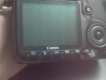 Canon 40d  ...  hình thiệt