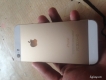 Iphone 5s 16GB Gold và Iphone 5 16GB Trắng giá tốt
