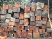 Bán lô gỗ Gõ Đỏ Lào mới nhâp.