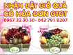Giỏ quà Tết: hoa quả nhập khẩu, hoa quả nội địa chỉ từ 300k, FS nội thành, có VAT
