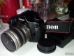 Canon 5D len 24-85 bán nhanh