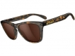 Bán Kính mát Oakley Frogskins
