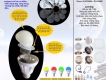 đèn led molux siêu sáng - hàng có thương hiệu - bảo hành 2 năm