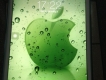 IPad Mini 1 Only Wifi 16GB Màu Trắng còn BH 4/2015