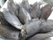 Bán khô cá sặc rằn Cà Mau (cá bổi) giá 150.000/kg