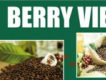 BERRY VIET COFFEE - Cung cấp, phân phối cà phê hạt rang xay nguyên chất