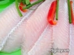 Cung Cấp thủy Hải Sản : Basa Fillet, Tuna loin