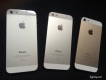 Bán Iphone 5 | iphone 5s, Màu trắng và Gold - Xách tay Hàn Quốc