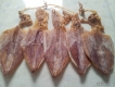 khô mực sữa các loại