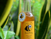 Mật ong nguyên chất - SweetHoney - LH : Thanh Vy 090 2428 490