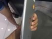 ipad mini rentina 4G 16 trắng 7tr500 nhanh tay quẹo lựa nào