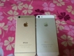 Iphone 5 và iphone 6