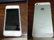 thanh lý một e IPHONE 5 16GB QTẾ màu trắng máy đẹp nguyên zin chưa bung giá rẻ !!!