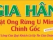 Mật ong rừng 100% nguyên chất ,chính gốc U Minh - Cà Mau