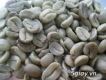 Cà phê nhân arabica, robusta chế biến ướt - wet processing