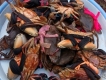 Cua Cà Mau - Cua thịt