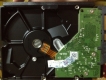 Hdd wd 1t mua phongvu can ban 850k