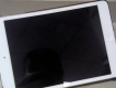 ipad mini 64G 4g wiffi