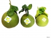 We Are Searching For Worldwide Distributors For Our Pomelos