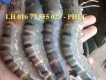 Cung Cấp Tôm Sú Tươi, Mực Lá , Mực Ống, Bạch Tuột Giá Sỉ