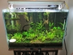 Thanh lý trọn bộ hồ thuỷ sinh