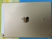 Air 2 - Gold 4G 16Gb