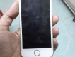 Iphone 5s 16g Gold quốc tế zin 100% mới 98% ở Bình Dương