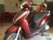 Honda Lead 2014 30tr trong buổi sáng nay